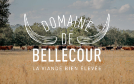 Domaine de Bellecour - identité visuelle